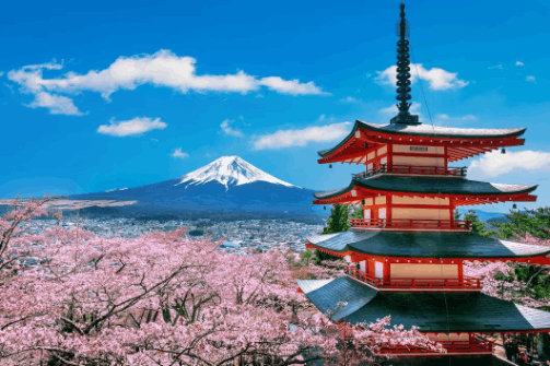 Japan Cruise